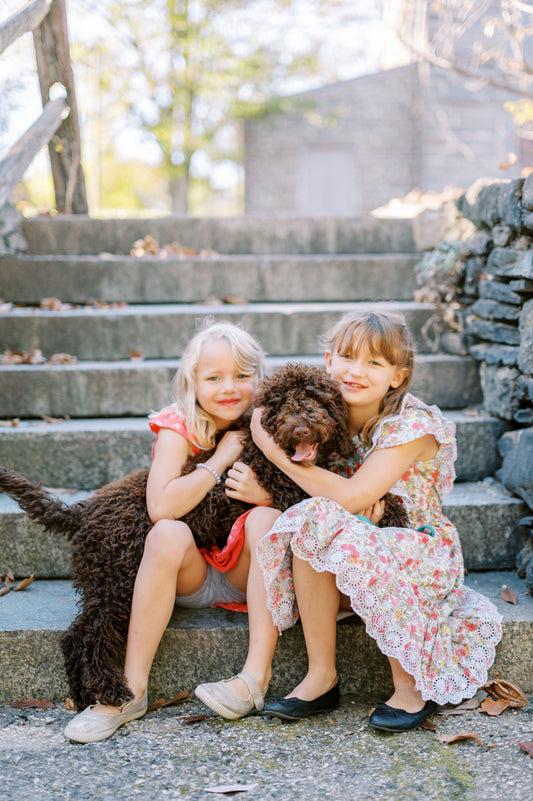 Family Photo Shoot with Van Anglen Photography